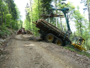 Ehrenbolger-Suter_AG_Holzernte-am-Hang_03