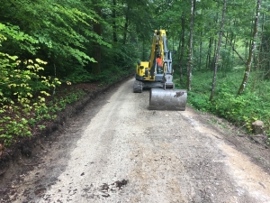 Ehrenbolger_Suter_Waldstrassenunterhalt (3)