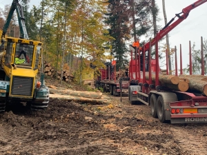 Ehrenbolger_Suter_Beratung_im _Holzschlag