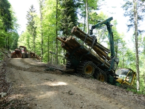 Ehrenbolger_Suter_Forwarder (6)