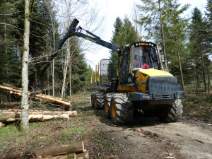 Ehrenbolger_Suter_Forwarder (4)